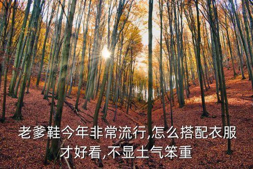老爹鞋個性時尚潮流,莆田時尚潮流透氣老爹鞋...